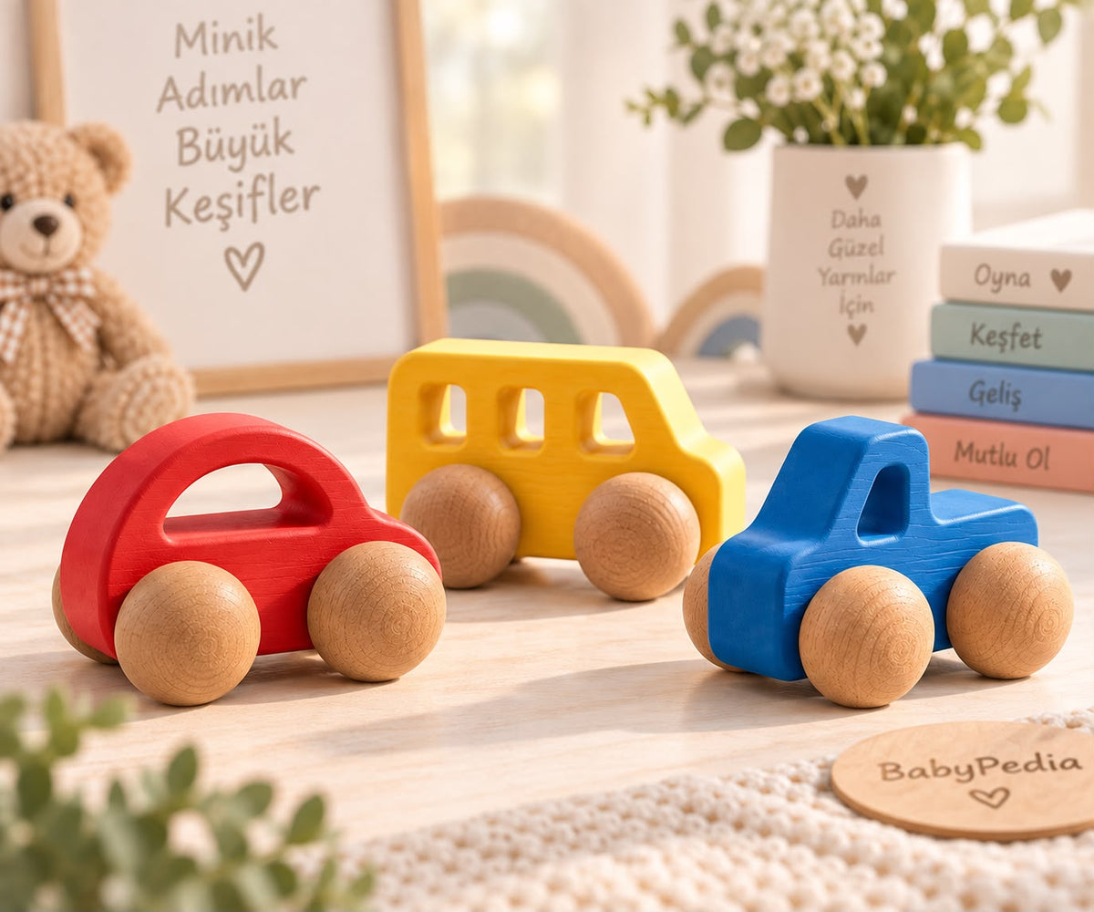 Montessori Bebek Araba Eğitici Oyuncak 3lü set